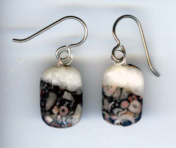 hypoallergenic crinoid fossil earrings