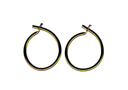 niobium mini hoops